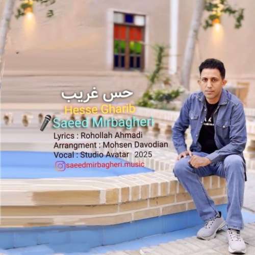 سعید میرباقری حس غریب